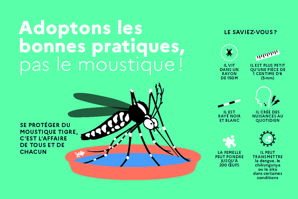 ARS22 MOUSTIQUE TIGRE FLYER 150x100mm BAT stc Page 1