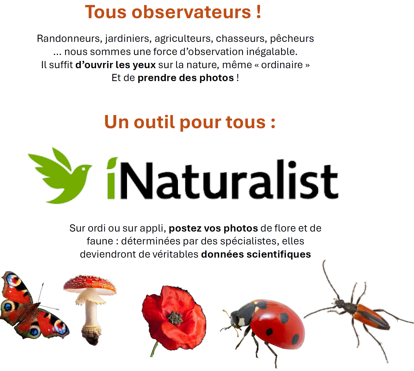 biodiversité2